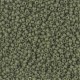 Miyuki rocailles kralen 11/0 - Matted opaque olive 11-2318